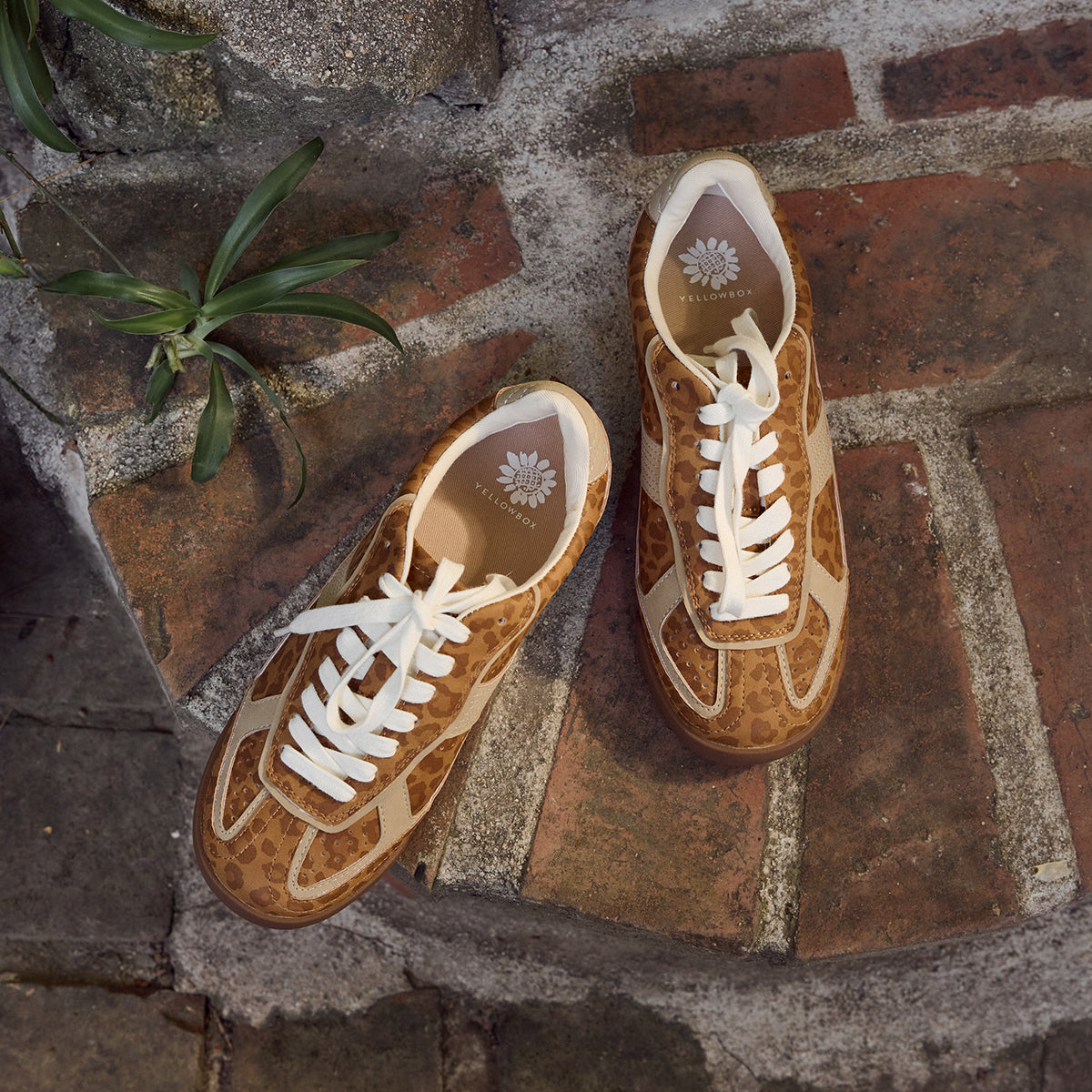 Yellow Box Footwear Best Price | Nurita Lace-Up Sneaker - Leopard