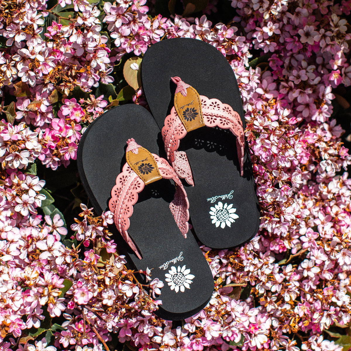 Yellow Box Footwear Best Price | Fascell Flip Flop - Blush
