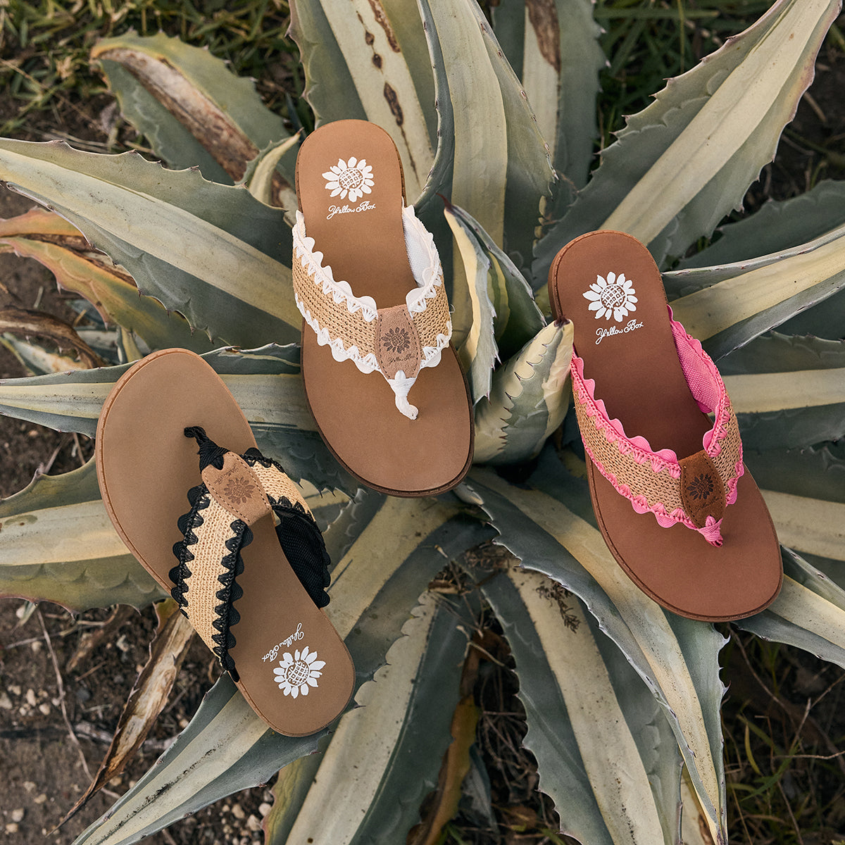 Yellow Box Footwear Customer Favorite | Irina Raffia sandal - Black Natural