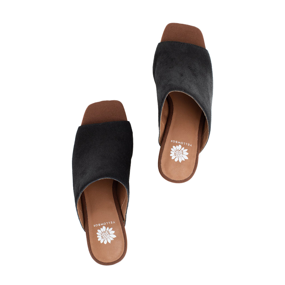 Yellow Box Footwear Latest | Cataline Heel - Black