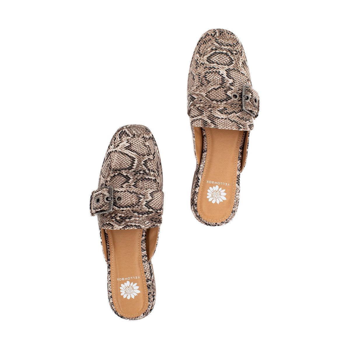Yellow Box Footwear Everyday | Jardeen Loafer Mule - Snake
