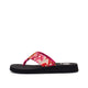 Fuchsia Multi