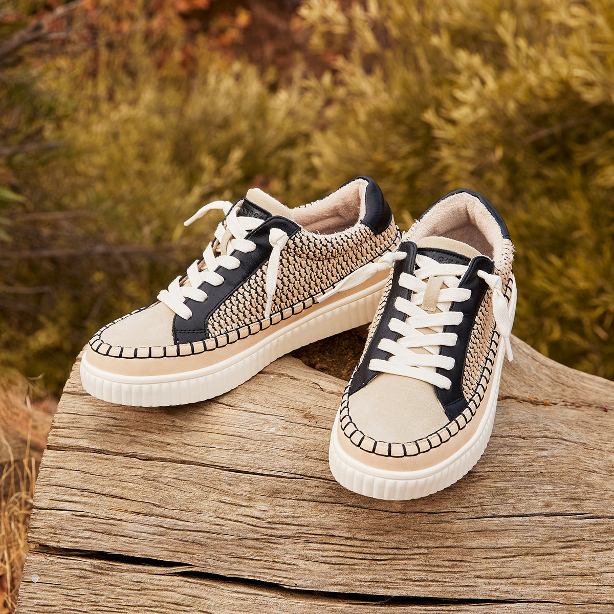 Yellow Box Footwear Exclusive | Moxie Lace-Up Sneaker - Black